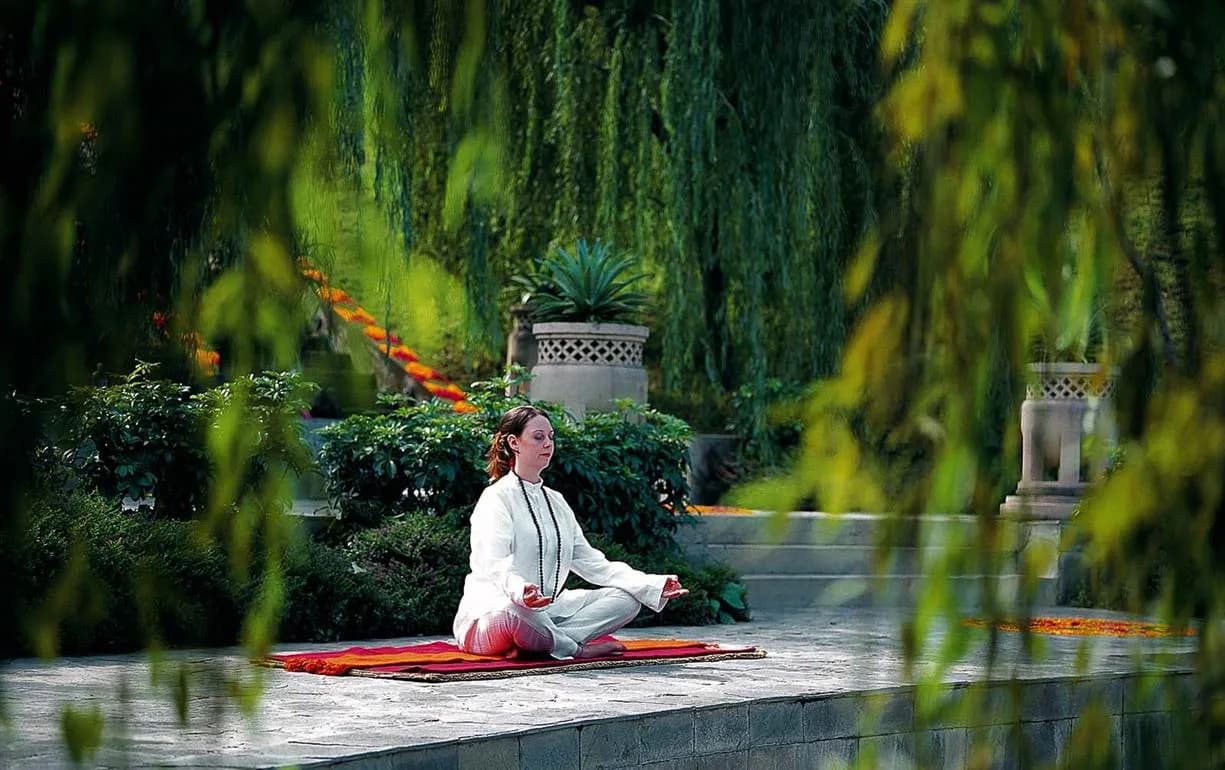 14 Days Holistic Detox Wellness Retreat