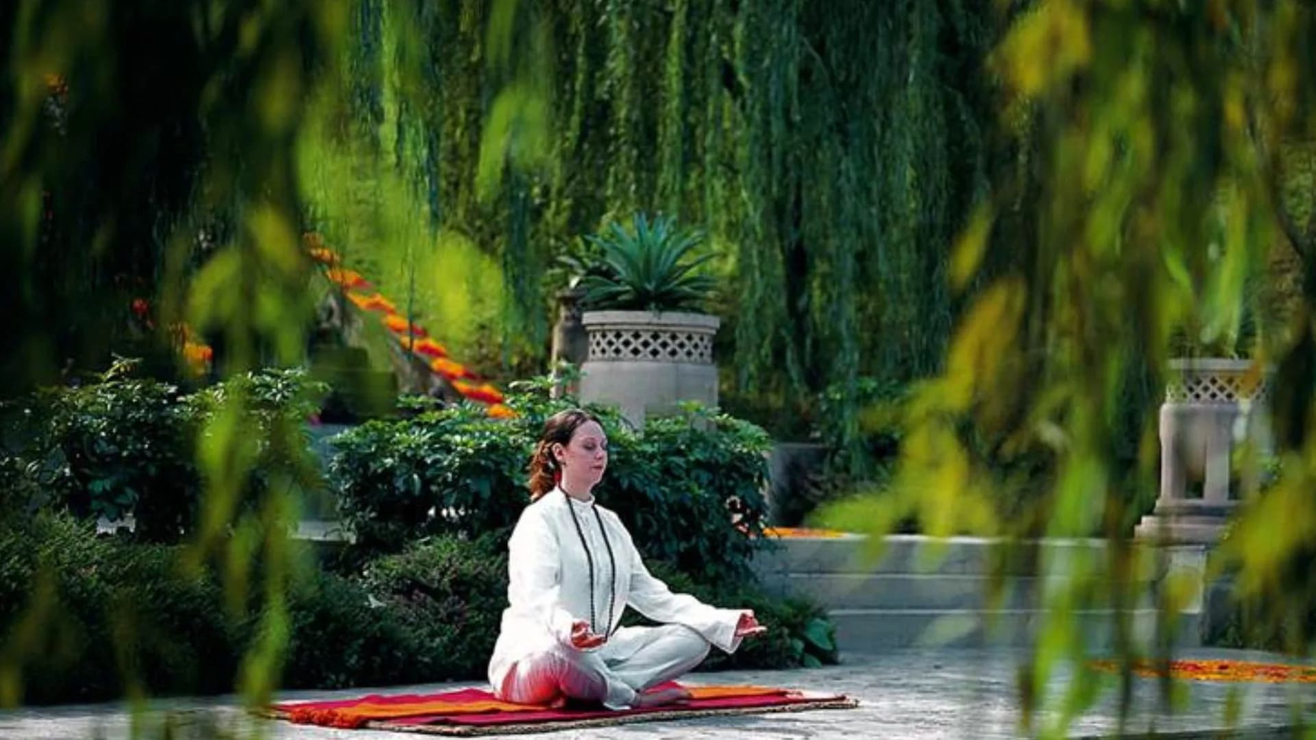 Anandaspa (3)