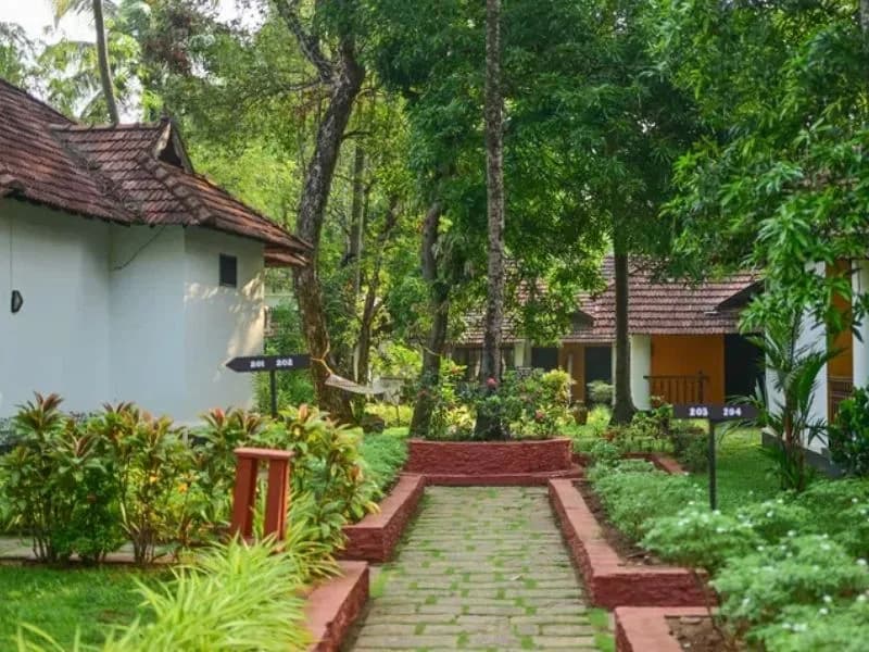 Ayur On The Beach Resort 1782885068154
