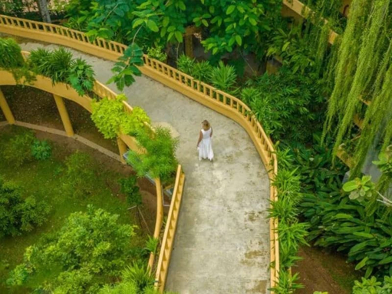Barberyn Resorts Sri Lanka 1782894774218