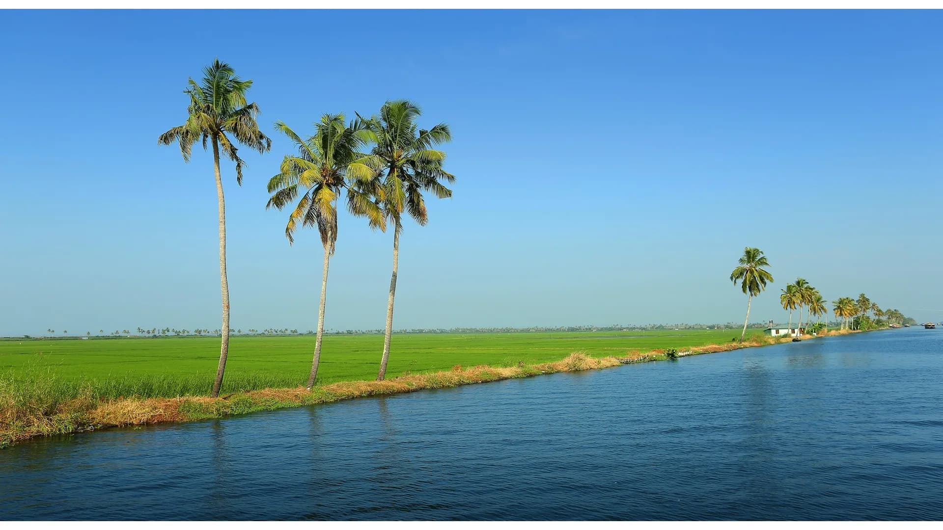 Carnoustie Ayurveda Wellness Resort Kerala01 1782490527825