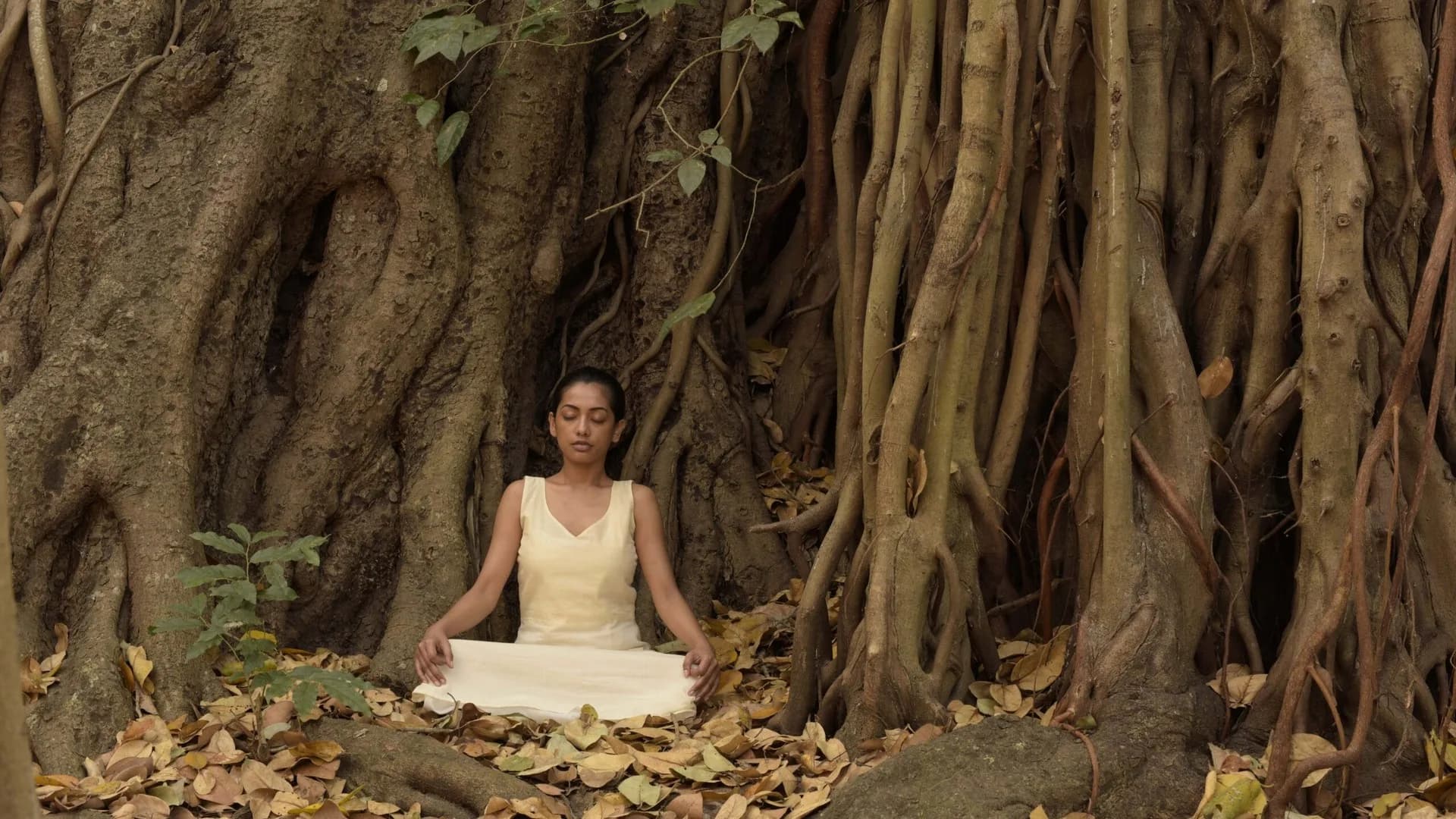 Kerala Ayurveda rejuvenation package wellness retreat in Kannur, Kerala, India