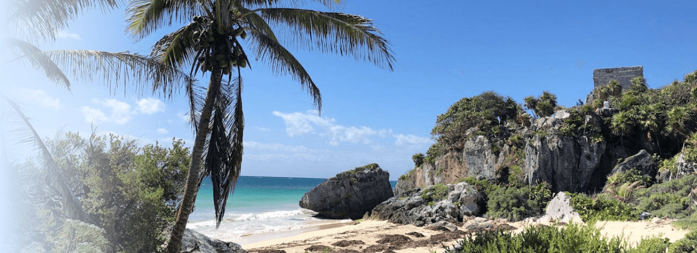 Tropical beach with palm trees