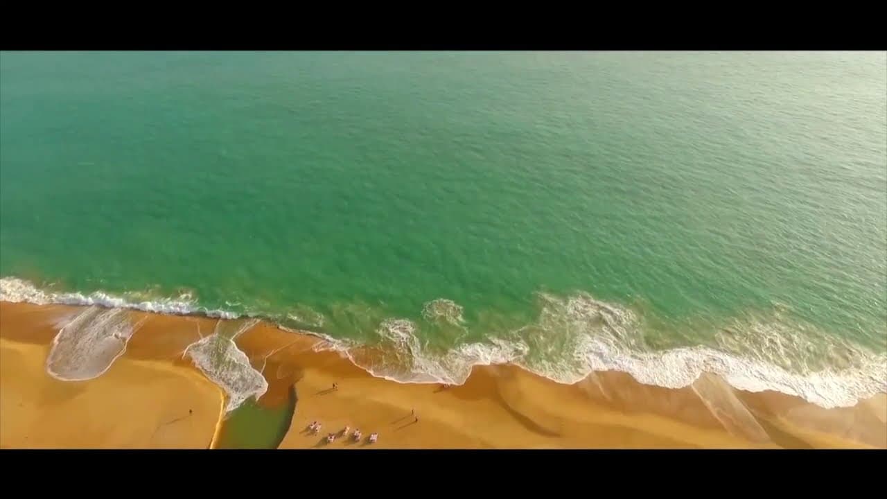 Nikkis Nest wellness resort video tour